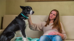 Woman and dog enjoying caressing 4K [48022218] | 写真素材・ストックフォトのアフロ