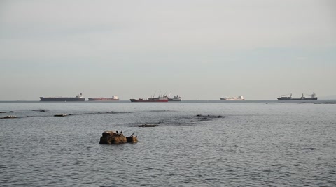 Cargo trade ships in the sea near Gibraltar 