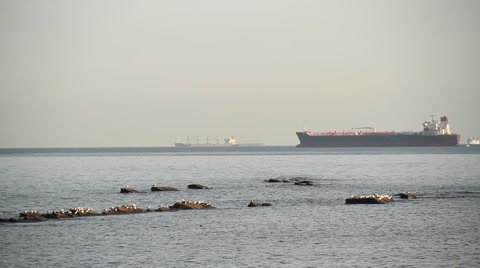 Cargo trade ships in the sea near Gibraltar 