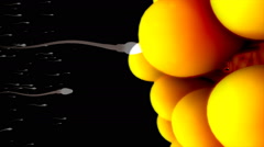 Fertilization in Human world, 3d animation [47048934] | 写真素材・ストックフォトのアフロ