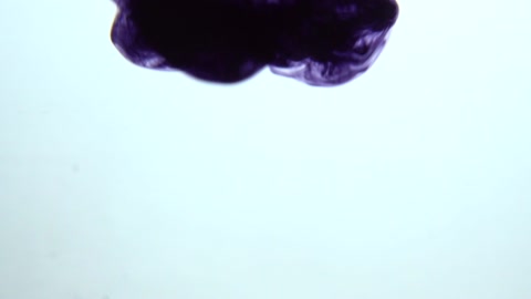 Real Ink drop in water. Mysterious plum ink reacting in water creating abstract