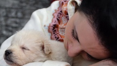 black-haired girl and white puppy sleeping together [45346733] | 写真素材・ストックフォトのアフロ