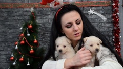 black-haired girl cuddle two puppies in the New Year's Eve [45346363] | 写真素材・ストックフォトのアフロ