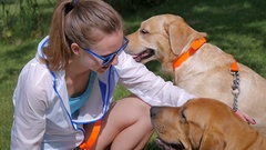 Close-up-cute young girl strokes the dogs in park [45302398] | 写真素材・ストックフォトのアフロ