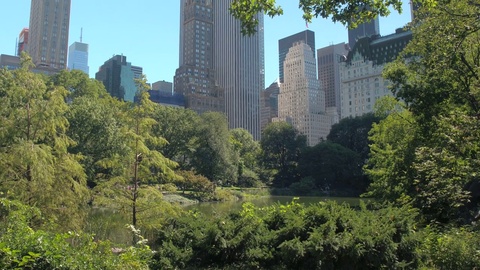 LOW ANGLE VIEW: Famous Manhattan skyline view from New York City Central park