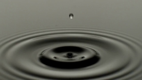 Single water drop and ripple on water surface - close up in slow motion