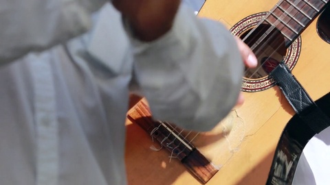 Spanish Classical Flamenco Guitar