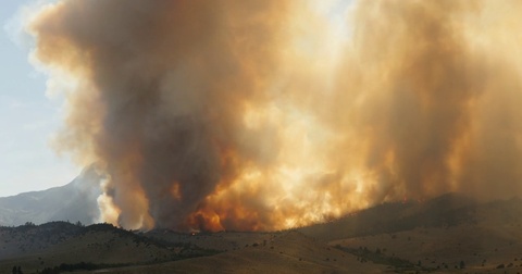 Forest Fire Burning Mountainside