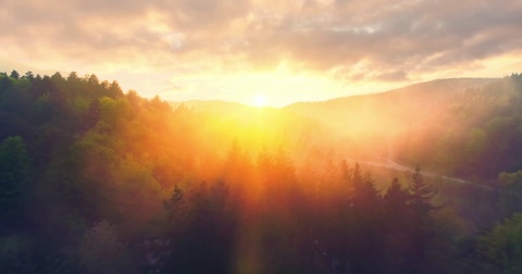 Epic Aerial Shot Over Mist Forrest Sunset Beautiful Fall Season Forrest Early