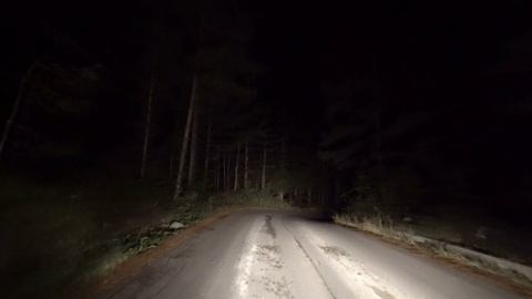 Car driving at night on country road in mountain with of forest pine trees