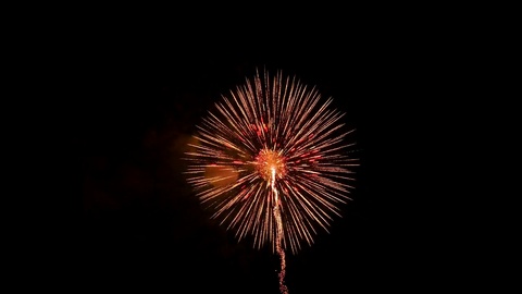 the fireworks in the night sky