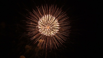 the fireworks in the night sky