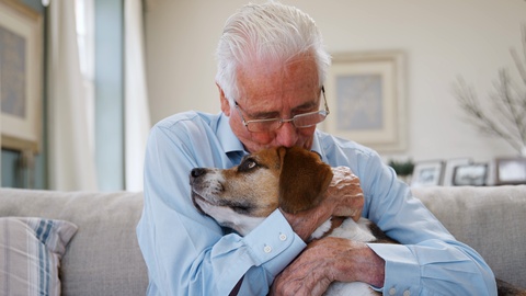 Senior Man Sitting On Sofa At Home With Pet Beagle Dog