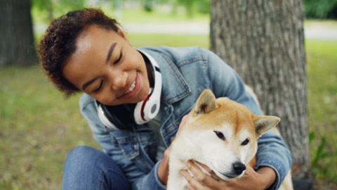 Slow motion of loving African American girl pet owner stroking its dog fussing