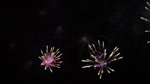 Fireworks show. Festival and celebration.  Firework display