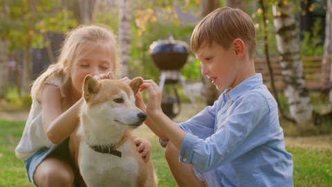 Little Boy and Girl Play with Cute Shibu Dog, Children Pet the Dog