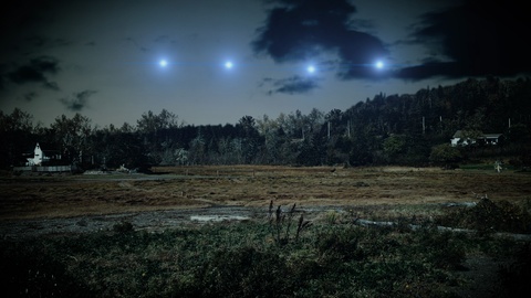 UFO Lights in the Forest