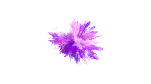 Purple Pink Color Burst - colorful smoke explosion fluid particles alpha matte