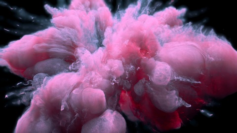 Pink Blue Color Burst colorful smoke powder explosion fluid ink particles alpha