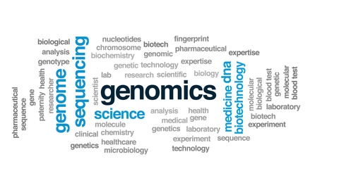 Genomics animated word cloud. Kinetic typography.