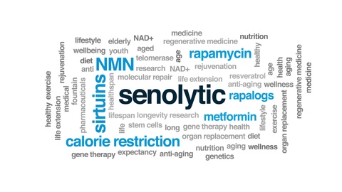 Senolytic animated word cloud. Kinetic typography.