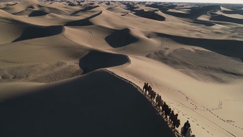 Camel caravan at Gobi desert. This is a famous place part of silk road