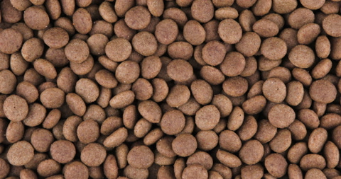 Close-up of pet dry food. Pile of cat or dog pellets