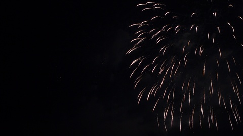 Footage of Dazzling fireworks in the night sky.