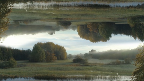 Mirror horizon effect curvy river flowing in nature aerial view