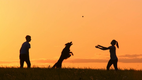 silhouette Young people play with pet at sunset.