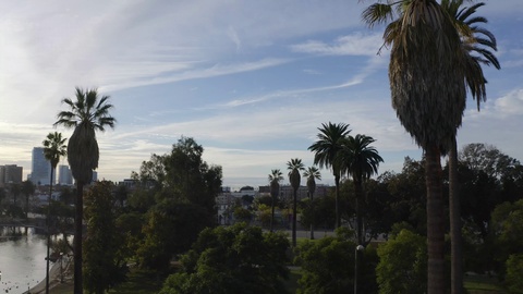 Californian palms, classical cinematic shot of MacArthur Park