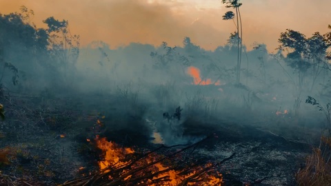 Handheld shot of fires burning in a field near the Amazon Rainforest in