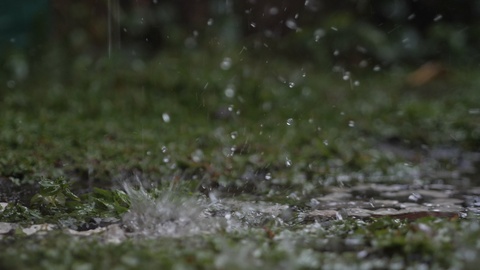 Rain drop on the ground and grass, water splash slow motion