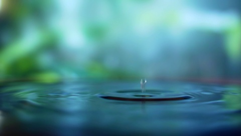 Raindrops break into a puddle. water drop on nature background. 