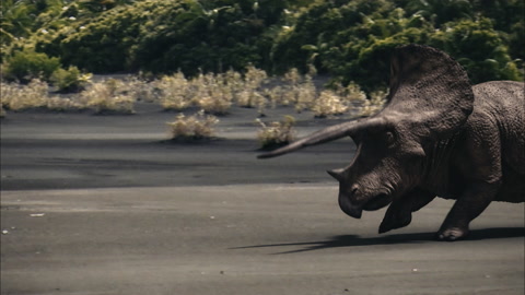 Triceratops running on volcanic plain