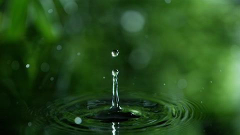 fresh green leaf with water drop, relaxation concept