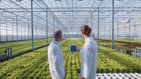 Future greenhouse. Two scientists activate tablet computer technologies for