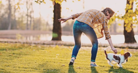 Woman Playing With Puppy In The Park. SLOW MOTION. Pet and owner love.