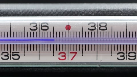 Temperature rising on medical classical thermometer. Mercury thermometer,