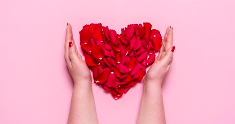 Red petal heart pounding, stop motion. Valentine day heart of rose petals