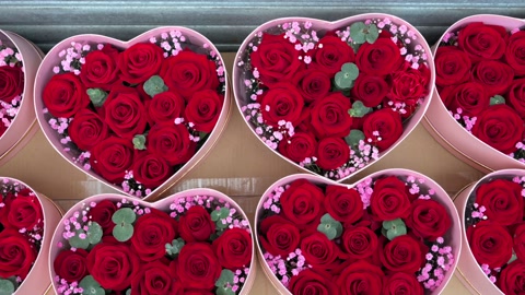 Red petal roses for sale are seen displayed and packed inside a