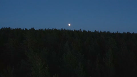 Drone flying over a pine tree forest at night towards full moon. Forward