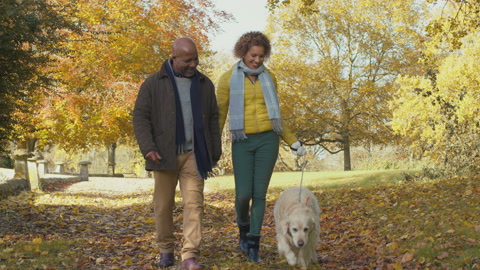 Senior Couple With Pet Golden Retriever Dog Walking In Autumn Countryside