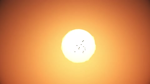 Flock of birds flying front of sun is heat effect in summer.