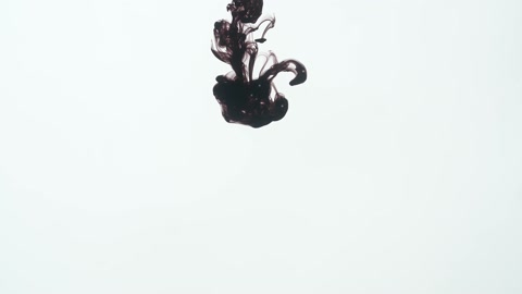 Black Ink Drop Into Water On A White Background