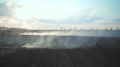 A wheat field is burning. war Ukraine, Kherson region. Arson, explosion