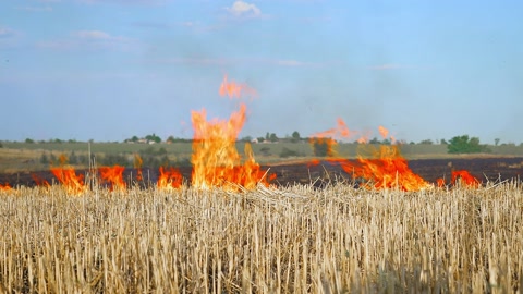 A wheat field is burning. war Ukraine, Kherson region. Arson, explosion