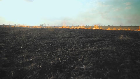 A wheat field is burning. war Ukraine, Kherson region. Arson, explosion