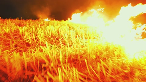 A wheat field is burning. war Ukraine, Kherson region. Arson, explosion