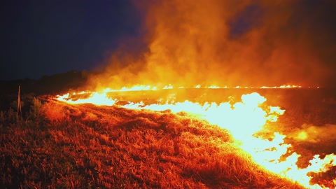 A wheat field is burning. war Ukraine, Kherson region. Arson, explosion